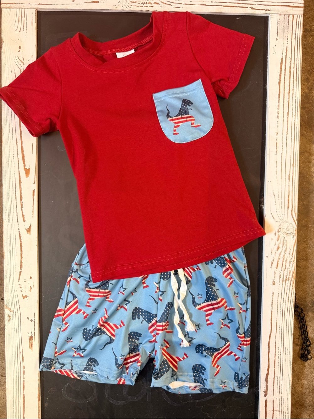 Red Tee & Light Blue Patriotic Dog Print Shorts Set